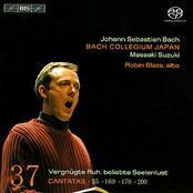 Robin Blaze: BACH, J.S.: Cantatas, Vol. 37 (BWV 35, 169, 170, 200)