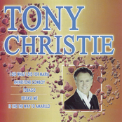 Some Broken Hearts Never Mend by Tony Christie