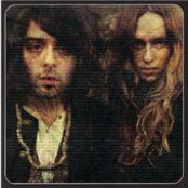 Golden Animals "Do The Roar!"