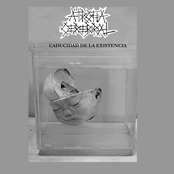 Caducidad de la Existencia
