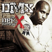 DMX: The Definition Of X: Pick Of The Litter