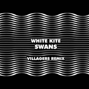 Swans (Villagers Remix)