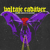 TODOS LOS COLORES DE LA OSCURIDAD