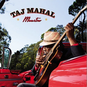 I Can Make You Happy by Taj Mahal