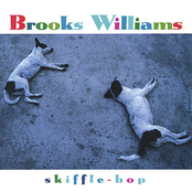 Brooks Williams: Skiffle-Bop