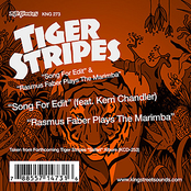 Song For Edit by Tiger Stripes