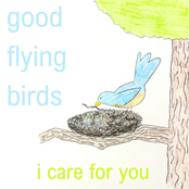 Good Flying Birds: i care for you