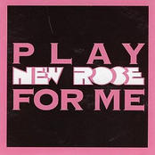 Play New Rose For Me