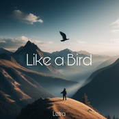 Like a Bird