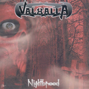 No Time To Surrender by Valhalla