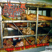 Horrorous state of anatomical decomposition