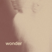 Wonder