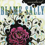 A Thousand Tiny Pieces by Blame Sally