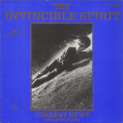 Wrecked In The Night by The Invincible Spirit