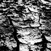 +37.717364 // -117.247955:  The Last Place I Remember