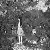 Hurtbreak Wonderland