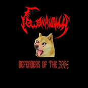 DEFENDERS OF THE DOGE