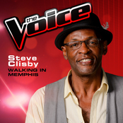 Walking in Memphis (The Voice 2013 Performance) - Single