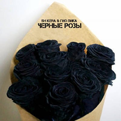 Черные розы