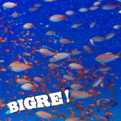 Bigre!