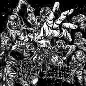 SPLIT W/BRUCEXCAMPBELL