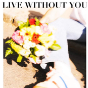 Live Without You