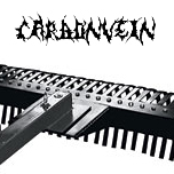 Carved From A Hollow Existence