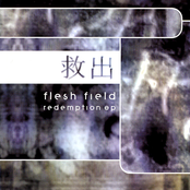 Lost by Flesh Field