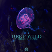 Deep Wild