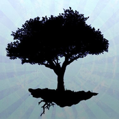 We're All Just Passing Through...