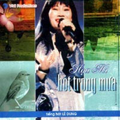 Họa mi hót trong mưa