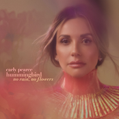hummingbird: no rain, no flowers (deluxe)