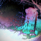 Watch the Fire (Closely)