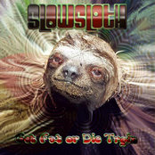 slowsloth