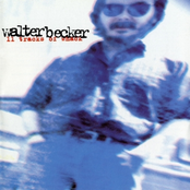 Hard Up Case by Walter Becker