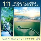 111 Healing Songs to Help You Relax: Calm Nature Sounds for Spa & Instrumental Background Music for Yoga, Meditation, Reduce Stress and Sleep