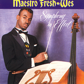 Untouchable by Maestro Fresh Wes