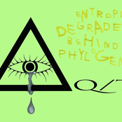 entropic degrade behind phylogeny