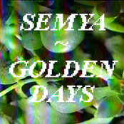 Golden Life Fluid by Semya