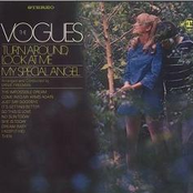The Vogues: Turn Around, Look At Me
