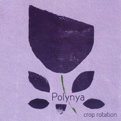 crop rotation