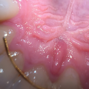 Aloe vittoria makes music for you