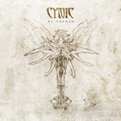 King by Cynic