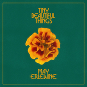 May Erlewine: Tiny Beautiful Things