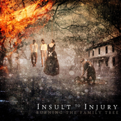 Insult to Injury: Burning the Family Tree