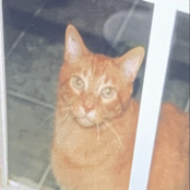 Blinded By My Current State Of Emotion