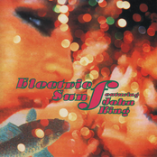 Electric Sun featuring John King