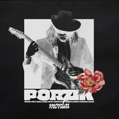 Porzik