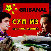 Суп из летучих мышей
