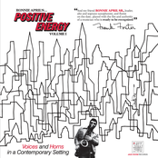 Ronnie April's Positive Energy, Volume 1